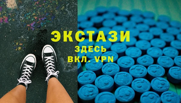 мдпв Ельня