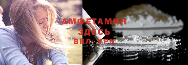 мдпв Ельня