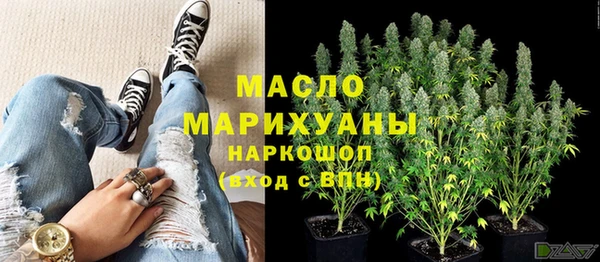 мдпв Ельня