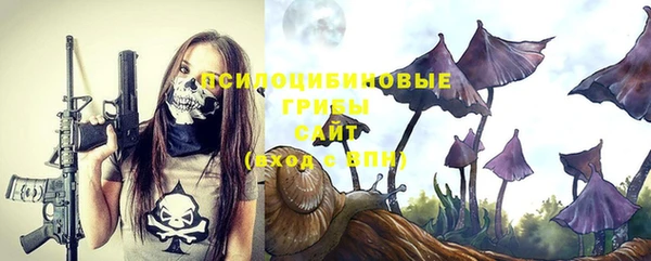 мдпв Ельня